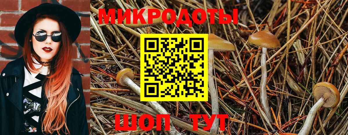 Коломна  Псилоцибиновые грибы мицелий  Вход с VPN 